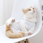 Περιστασιακές γάτες ύφους που φορούν άνετο μοντέρνο λωρίδων ενδυμάτων μπλε/άσπρο προμηθευτής