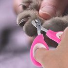 Ρόδινο ψαλίδι καρφιών της Pet χρώματος, εργονομικό σχέδιο μύλων καρφιών της Pet Pedicure προμηθευτής