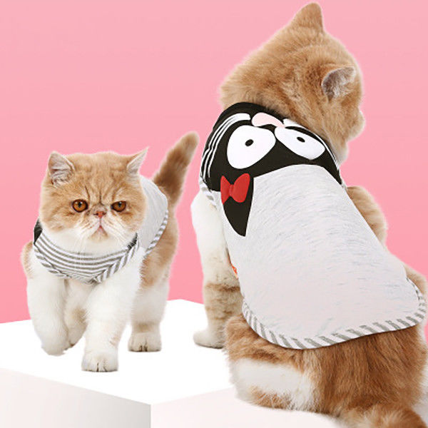 Άνετες γάτες που φορούν το επαγγελματικό εύκαμπτο πλεκτό υλικό υφασμάτων ενδυμάτων προμηθευτής