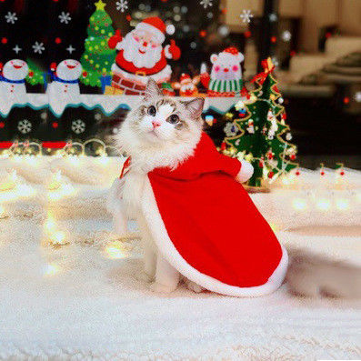 Η γάτα πολυτέλειας ύφους Χριστουγέννων ντύνει το κόκκινο βάρος 0.15kg επενδυτών για το δώρο/το αναμνηστικό προμηθευτής