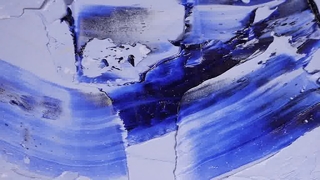 Προσαρμοσμένο λογότυπο Cute Flower Pet Collar