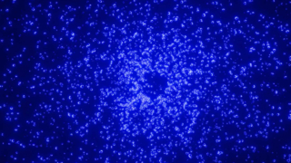 Μοντέρνα διασκεδαστικά παιχνίδια με ξύστρα για γάτες