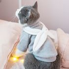 Προσαρμοσμένη γάτα σχεδίων που φορά το πουλόβερ, μέγεθος XS ενδυμάτων γατών σχεδιαστών - XXL προμηθευτής