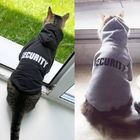 Φιλική χαριτωμένη γάτα Hoodie, θερμά κοστούμια Eco της Pet για τα μικρά σκυλιά προμηθευτής